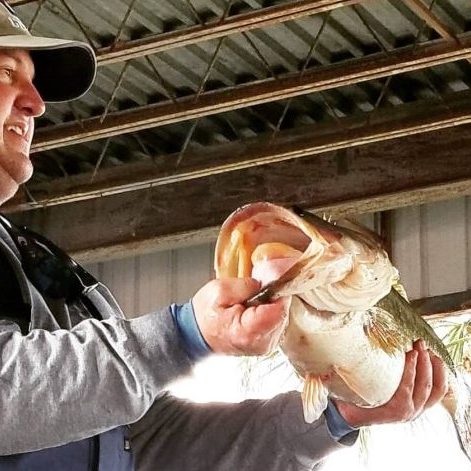 2018 Big Bass Classic Presented By Monster Energy on Lake Conroe - Monster bass